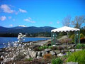 Beachside Garden Bed and Breakfast image 2
