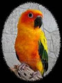 Canadian Parrot logo