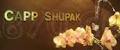 Capp Shupak image 5