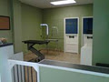 Central Bark Pet Grooming Salon image 5
