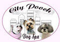 City Pooch Dog Spa image 2