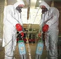 Combat Pest Control| Exterminator|Pest Control image 5