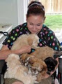 Copperfield Dog Grooming Ltd image 1