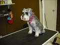 Dirty Dawg Pet Grooming image 6