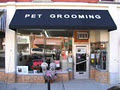 Doggie Styles Grooming Salon image 1