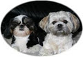 Doggy Spa Grooming Services, The logo