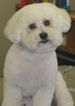 Elite Dog Grooming image 5
