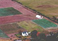 Harwood Estate Vineyards image 1