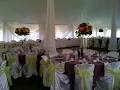 House of Golden-Aire Wedding & Event Decor image 3