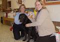 Humane Society Kitchener-Waterloo image 1