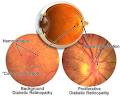 Ironwood Optometry Clinic image 3