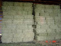 Irvine Creek Hay Sales/ feedneeds.com image 5