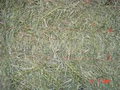 Irvine Creek Hay Sales/ feedneeds.com image 6