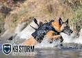 K9 Storm Inc image 2