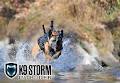 K9 Storm Inc logo