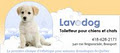 Lavodog, toilettage pour chiens et chats image 4