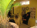 Luxurious Pet Spa image 2