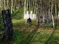 Maple Ridge Paintball image 2