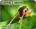 Nimby Pest Management image 4