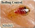 Nimby Pest Management logo