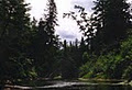 Obabika River Provincial Park image 1