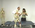 Osteopathic Training image 3
