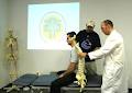 Osteopathic Training image 6