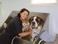 Paw Tyme Dog Grooming & Spa image 2