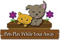 Pets Play While You're Away Pet Care image 1