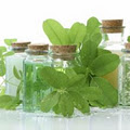 PhytoAromatics image 1