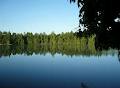 Royal LePage Lakes Of MuskokaBrokerageBaysville image 5