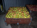 Schoger Orchards image 3