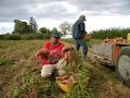 Simpson Orchards image 4