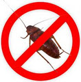 Skina Pest Control image 1