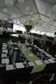 Special Event Rentals/Party Rentals image 2