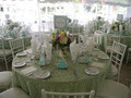 Special Event Rentals/Party Rentals image 6