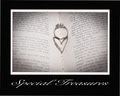 Special Treasures Photography image 3
