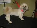 Tail Up Pet Grooming image 5