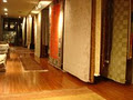 The Fifth Wall,Area Rug Store Toronto,Persian silk rug,Indian rug,Pakistan&Nepal image 3