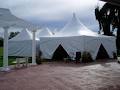 Universal Tent Rental image 3