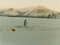 Whitehorse Air Services Ltd image 4