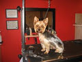Woofers Pet Styles - Dog Grooming image 2
