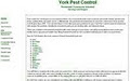 York Pest Control image 2