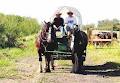 Alberta Prairie Steam Tours Ltd image 4