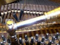 Anne Francis | Piano Tuner Technician image 2