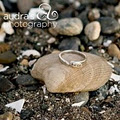Audra's Photography logo