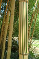 Bamboo Botanicals image 3