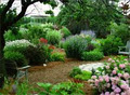 Brookwood Gardens image 2