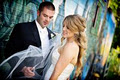 Calgary Wedding Photographer - Cineart Photography image 6