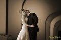 David Buck Photography image 1
